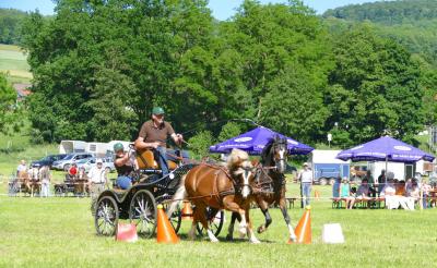 Foto des Albums: Fahrturnier Hilders 2017