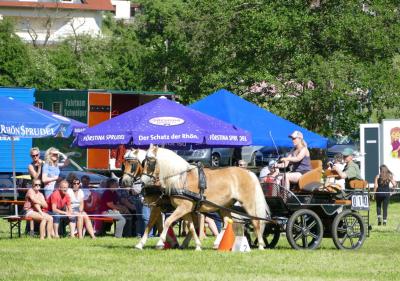 Foto des Albums: Fahrturnier Hilders 2017
