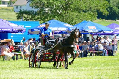 Foto des Albums: Fahrturnier Hilders 2017