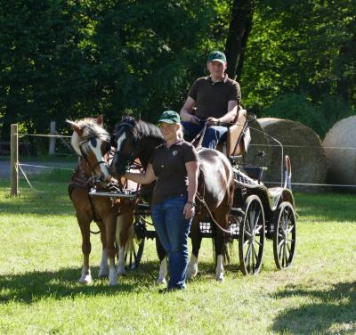 Foto des Albums: Fahrturnier Hilders 2017