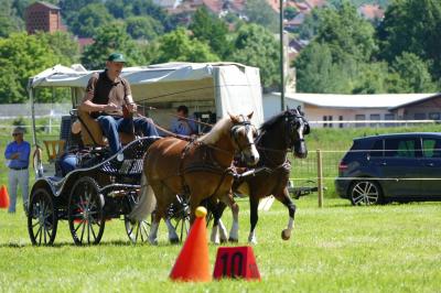 Foto des Albums: Fahrturnier Hilders 2017