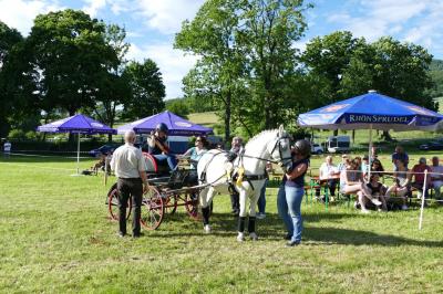 Foto des Albums: Fahrturnier Hilders 2017