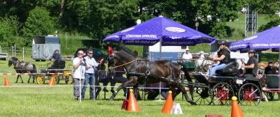 Foto des Albums: Fahrturnier Hilders 2017
