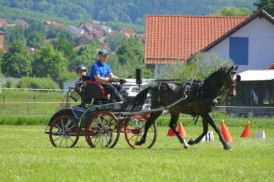 Foto des Albums: Fahrturnier Hilders 2017