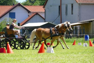 Foto des Albums: Fahrturnier Hilders 2017