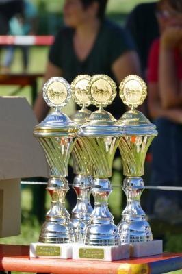 Foto des Albums: Fahrturnier Hilders 2017