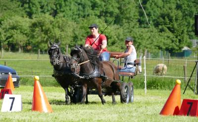 Foto des Albums: Fahrturnier Hilders 2017