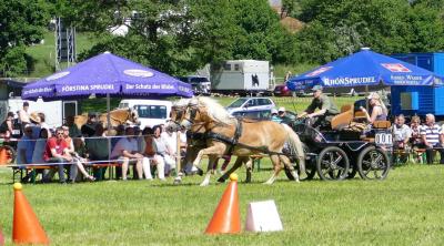 Foto des Albums: Fahrturnier Hilders 2017