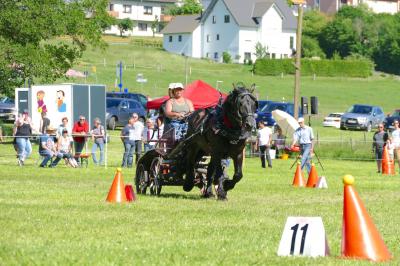 Foto des Albums: Fahrturnier Hilders 2017