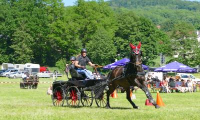 Foto des Albums: Fahrturnier Hilders 2017