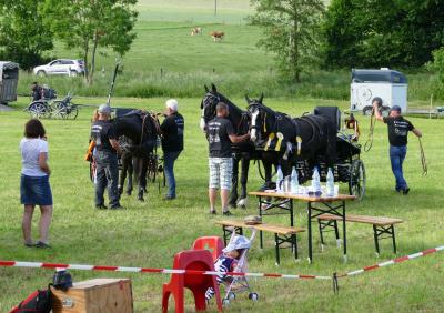 Foto des Albums: Fahrturnier Hilders 2017