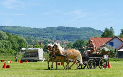 Foto des Albums: Fahrturnier Hilders 2017