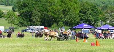 Foto des Albums: Fahrturnier Hilders 2017