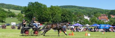 Foto des Albums: Fahrturnier Hilders 2017