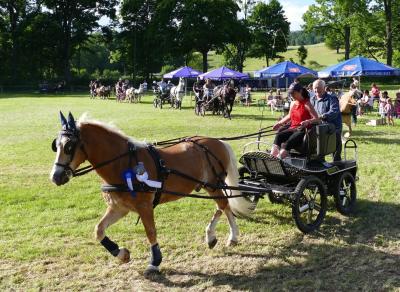 Foto des Albums: Fahrturnier Hilders 2017