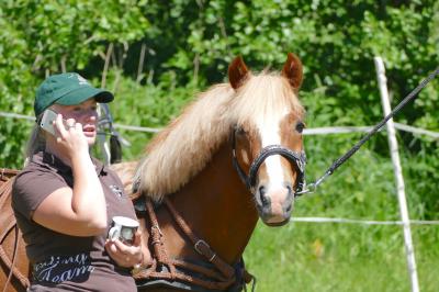 Foto des Albums: Fahrturnier Hilders 2017