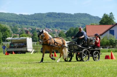 Foto des Albums: Fahrturnier Hilders 2017