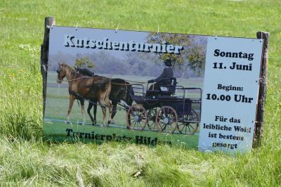 Foto des Albums: Fahrturnier Hilders 2017