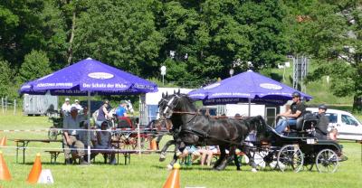 Foto des Albums: Fahrturnier Hilders 2017