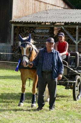 Foto des Albums: Fahrturnier Hilders 2017
