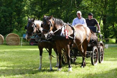 Foto des Albums: Fahrturnier Hilders 2017