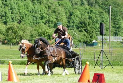 Foto des Albums: Fahrturnier Hilders 2017