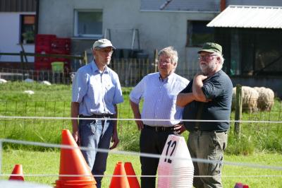 Foto des Albums: Fahrturnier Hilders 2017
