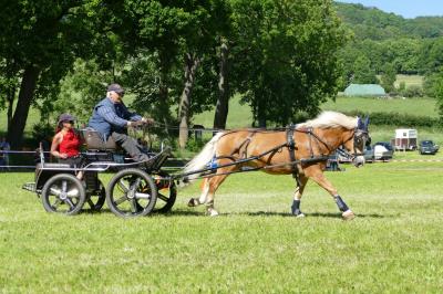 Foto des Albums: Fahrturnier Hilders 2017