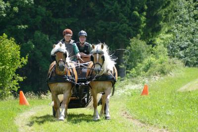 Foto des Albums: Fahrturnier Hilders 2017