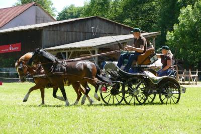 Foto des Albums: Fahrturnier Hilders 2017