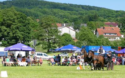Foto des Albums: Fahrturnier Hilders 2017