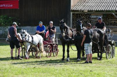 Foto des Albums: Fahrturnier Hilders 2017