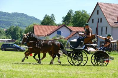 Foto des Albums: Fahrturnier Hilders 2017
