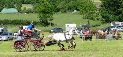Foto des Albums: Fahrturnier Hilders 2017