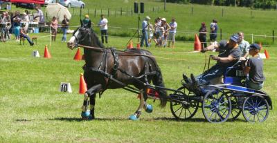 Foto des Albums: Fahrturnier Hilders 2017