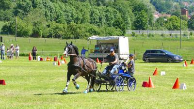 Foto des Albums: Fahrturnier Hilders 2017