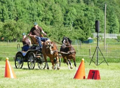 Foto des Albums: Fahrturnier Hilders 2017