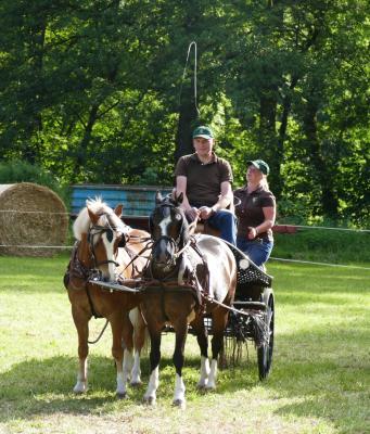 Foto des Albums: Fahrturnier Hilders 2017