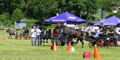 Foto des Albums: Fahrturnier Hilders 2017