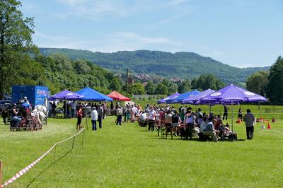 Foto des Albums: Fahrturnier Hilders 2017