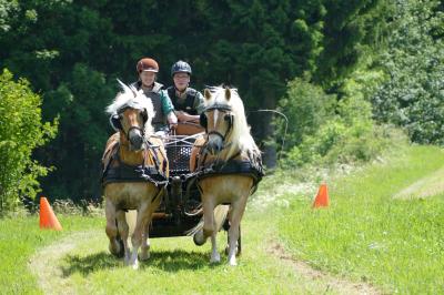 Foto des Albums: Fahrturnier Hilders 2017