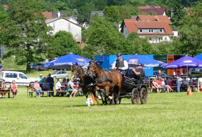 Foto des Albums: Fahrturnier Hilders 2017