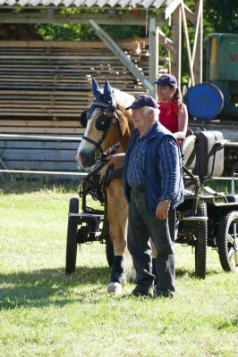 Foto des Albums: Fahrturnier Hilders 2017