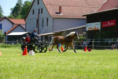 Foto des Albums: Fahrturnier Hilders 2017