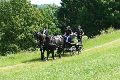 Foto des Albums: Fahrturnier Hilders 2017