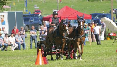 Foto des Albums: Fahrturnier Hilders 2017