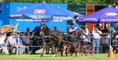 Foto des Albums: Fahrturnier Hilders 2017