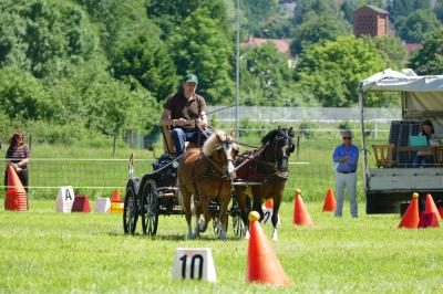 Foto des Albums: Fahrturnier Hilders 2017