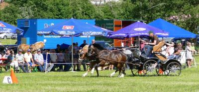 Foto des Albums: Fahrturnier Hilders 2017