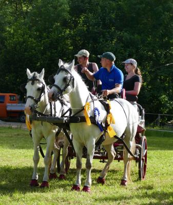 Foto des Albums: Fahrturnier Hilders 2017